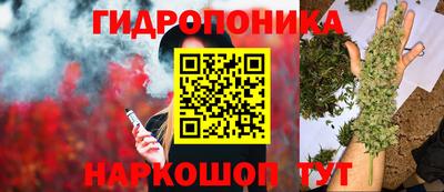 гашик Нальчик