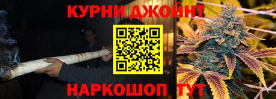 стаф Моздок