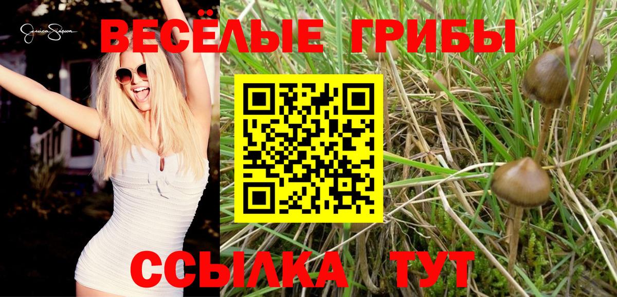 Псилоцибиновые грибы Cubensis Усолье-Сибирское