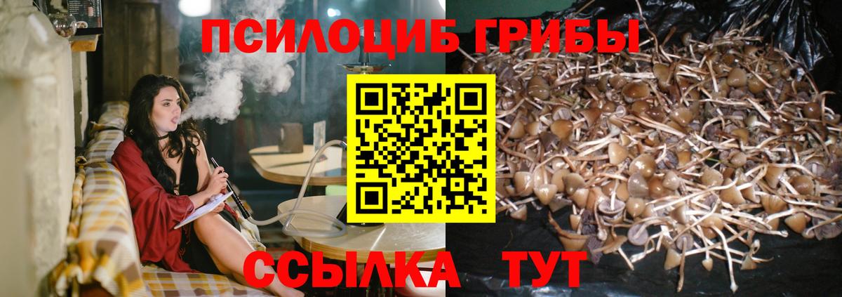 Усолье-Сибирское  Псилоцибиновые грибы ЛСД  Вход с VPN 